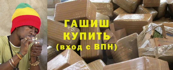 шишки Каменногорск