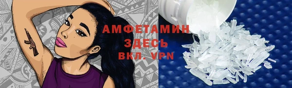 шишки Каменногорск