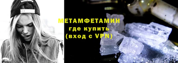шишки Каменногорск
