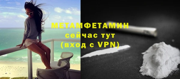 шишки Каменногорск