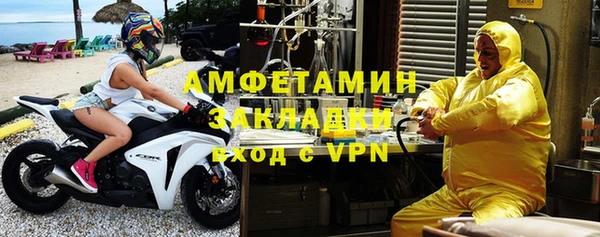 шишки Каменногорск