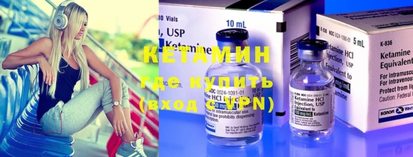 шишки Каменногорск