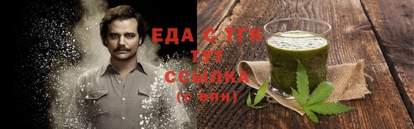 шишки Каменногорск