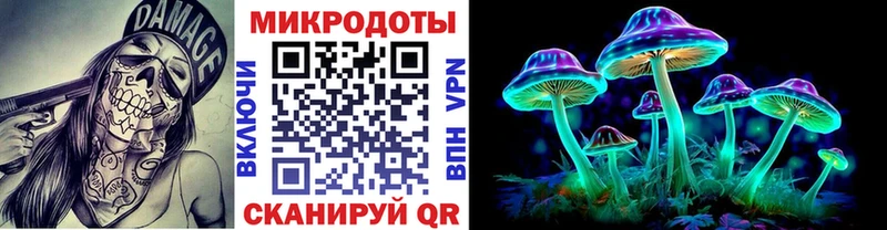 Купить  Мытищи  Галлюциногенные грибы Psilocybe 